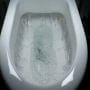 Flushing water in a toilet